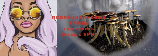 PSILOCYBIN Балабаново
