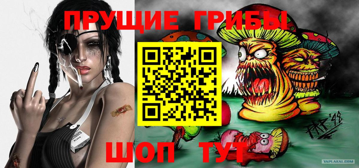 Псилоцибиновые грибы Psilocybe  Галлюциногенные грибы прущие грибы  Асбест 