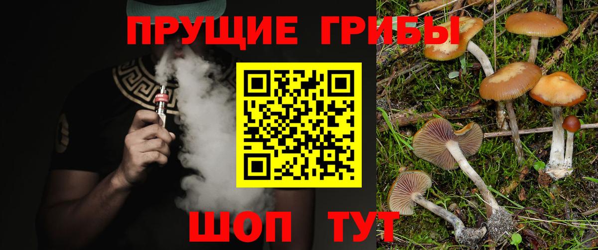 Псилоцибиновые грибы мицелий  Вход с VPN  Асбест 