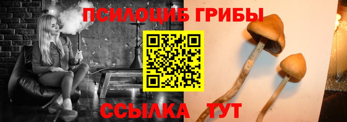 Псилоцибиновые грибы прущие грибы Асбест